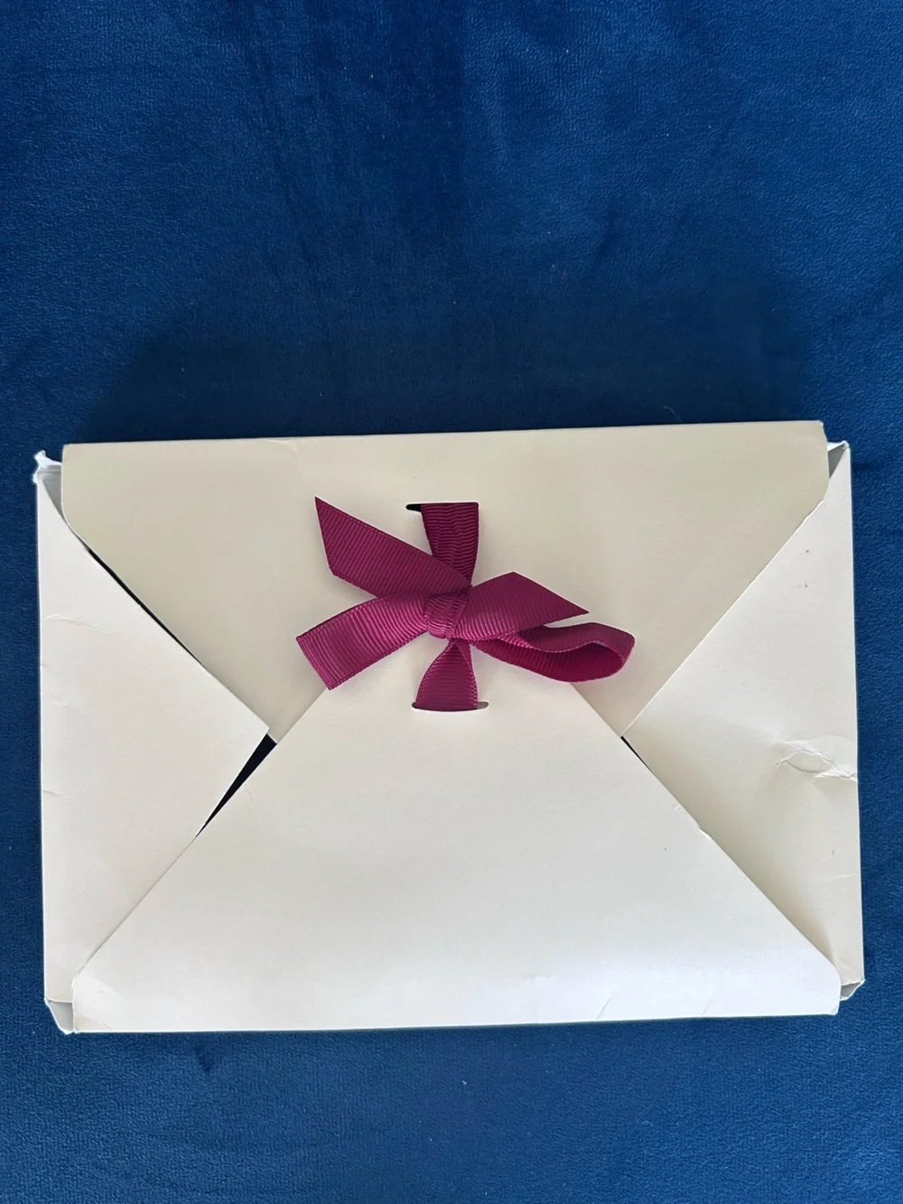 Sézane Burgundy Red Velvet Pouch Clutch